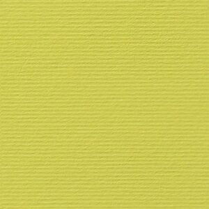 Fabriano Картон Elle Erre, 70 x 100 cm, 220 g/m2, № 125, кедър