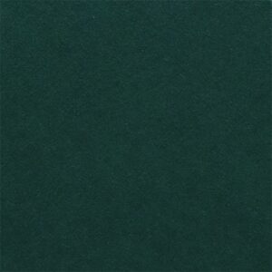 Fabriano Картон Elle Erre, 70 x 100 cm, 220 g/m2, № 128, тъмнозелен