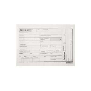 Авансов отчет, 100 листа