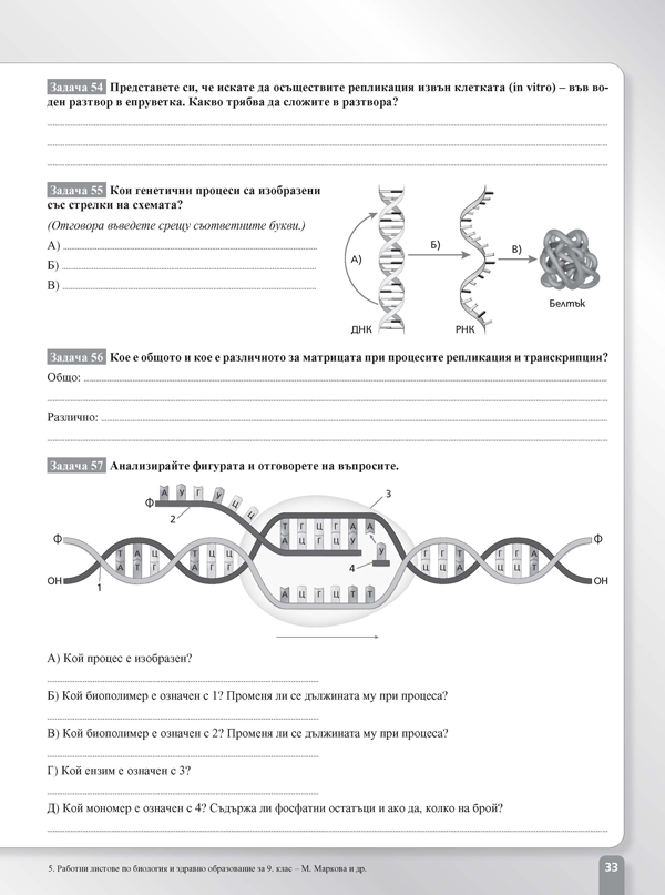Работни листове по биология и здравно образование за 9. клас - Image 5