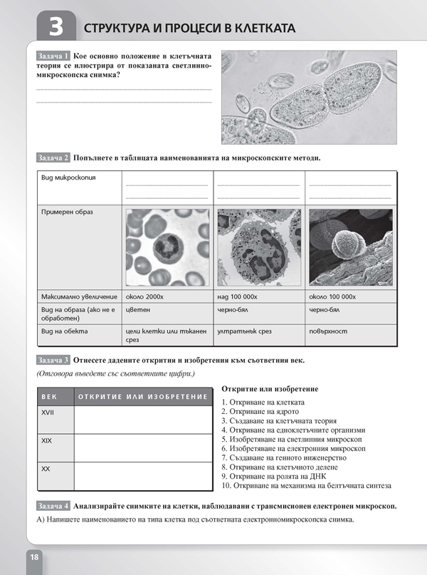 Работни листове по биология и здравно образование за 9. клас - Image 4