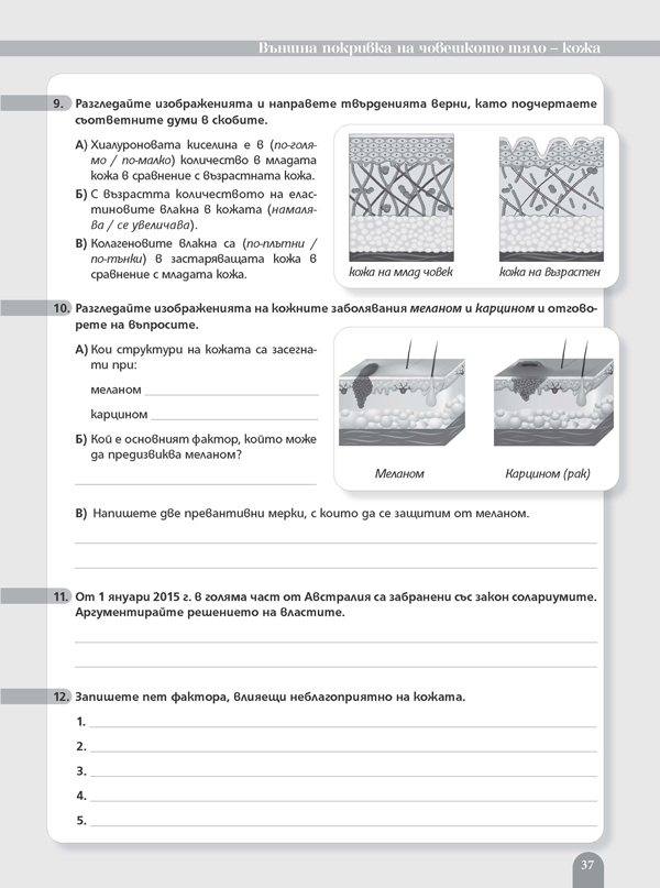 Работни листове по биология и здравно образование за 8. клас - Image 5