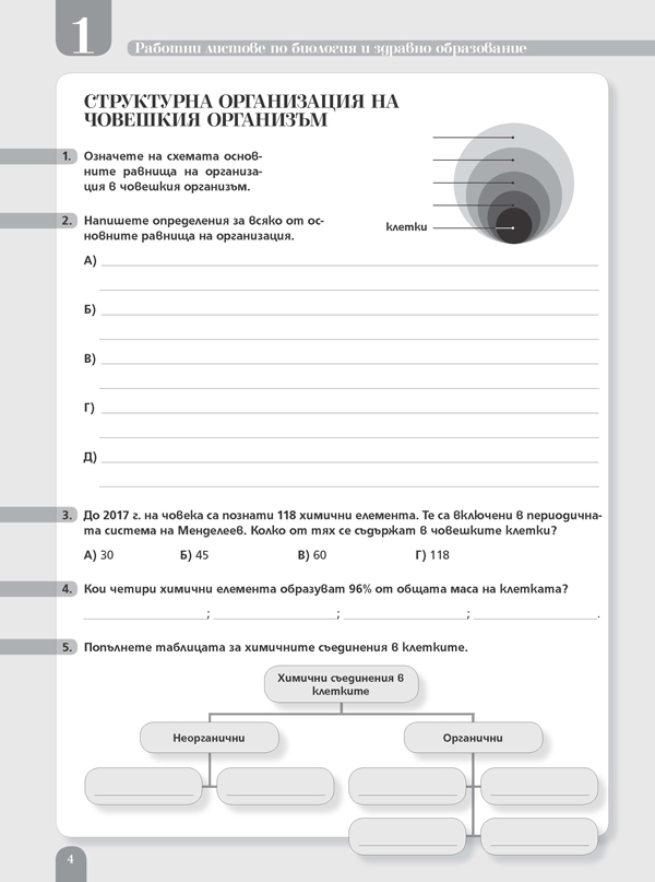Работни листове по биология и здравно образование за 8. клас - Image 3