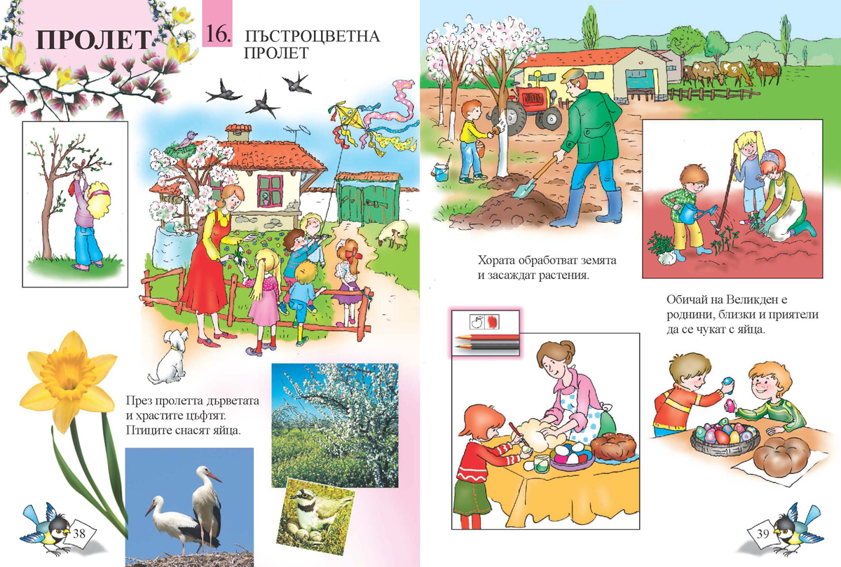 Родинознание за 1. клас - Image 4