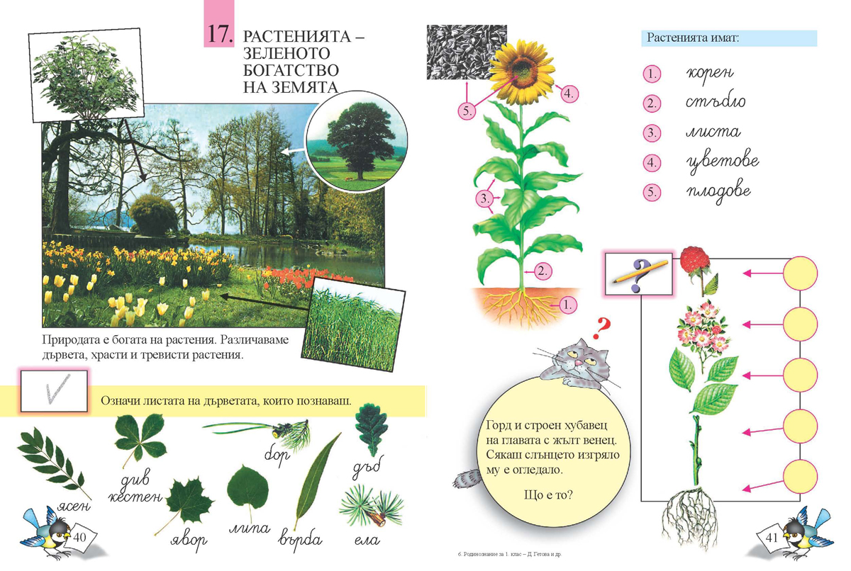 Родинознание за 1. клас - Image 5