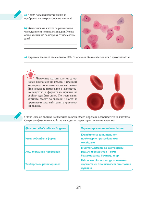 STEM ПРОСВЕТА за 5. клас - Image 4
