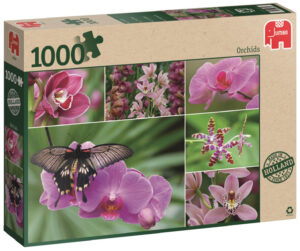 Пъзел Jumbo от 1000 части - Холандски орхидеи