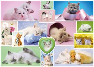 Пъзел Schmidt от 1000 части - Пухкави котенца