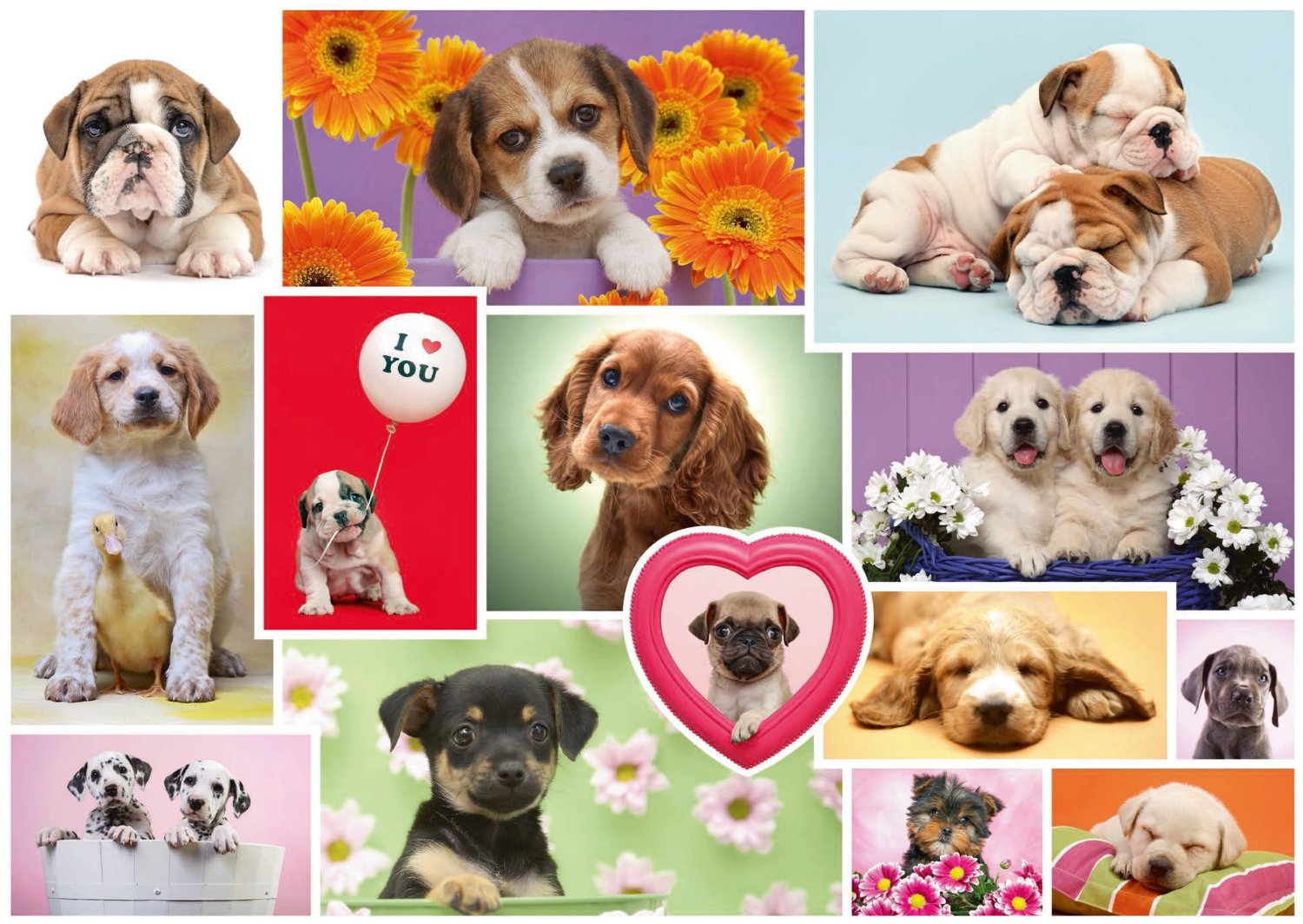 Пъзел Schmidt от 1000 части - Приятели на четири лапи