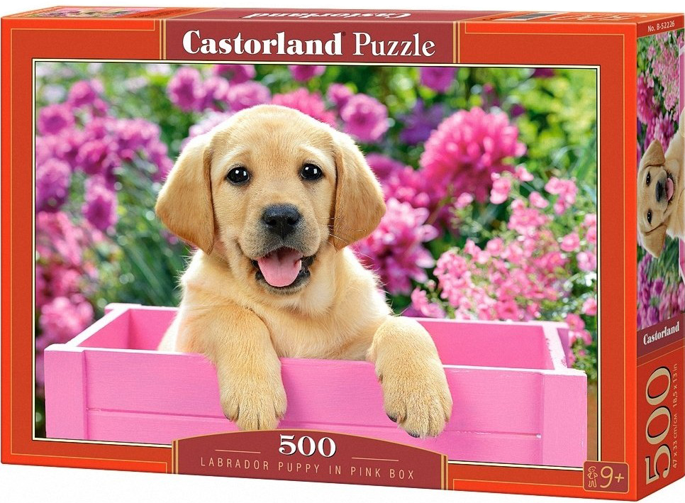 Пъзел Castorland от 500 части - Малко лабрадорче в розова кутия