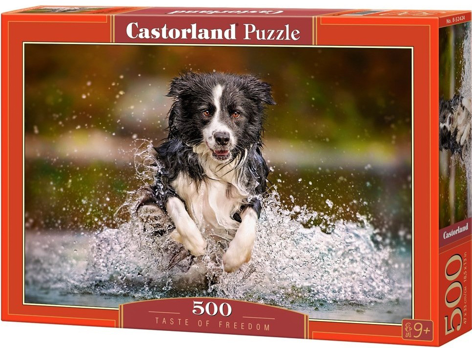 Пъзел Castorland от 500 части - Вкусът на свободата