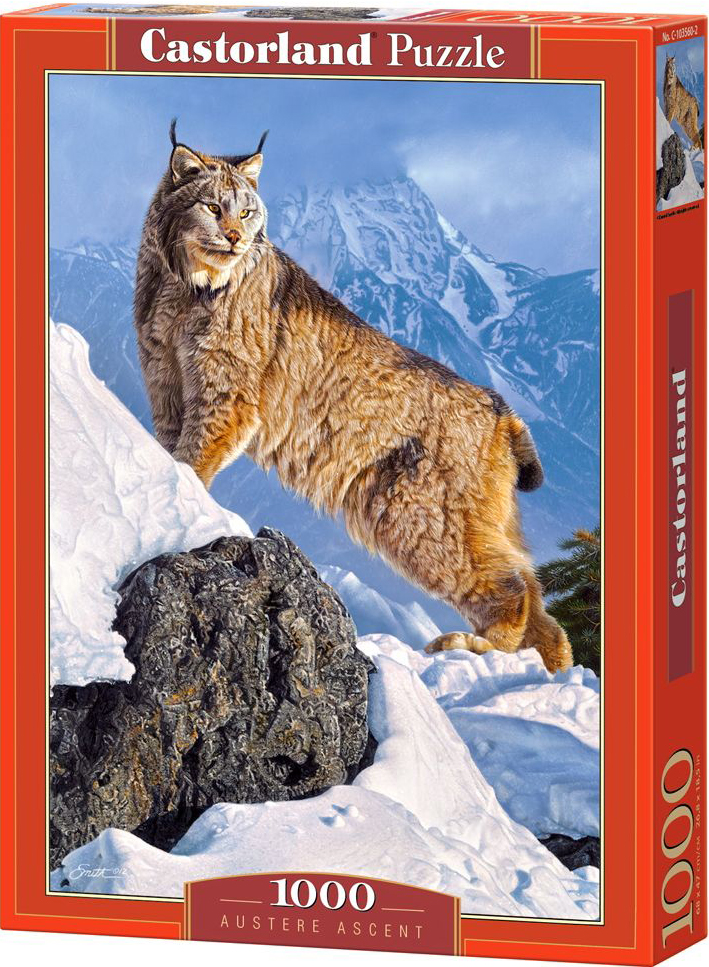 Пъзел Castorland от 1000 части - Стръмен склон, Даниел Смит