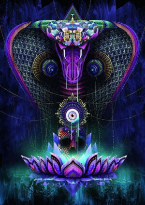 Пъзел Schmidt от 1000 части - Святата кобра, Крис Сондърс