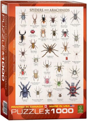 Пъзел Eurographics от 1000 части – Паяци и паякообразни