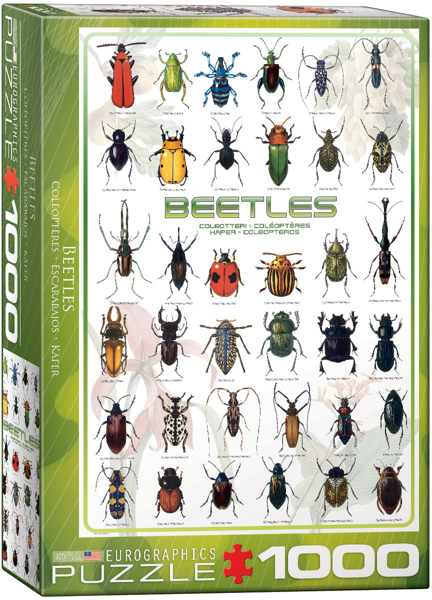 Пъзел Eurographics от 1000 части – Бръмбари