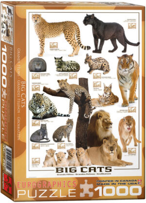 Пъзел Eurographics от 1000 части – Големите котки