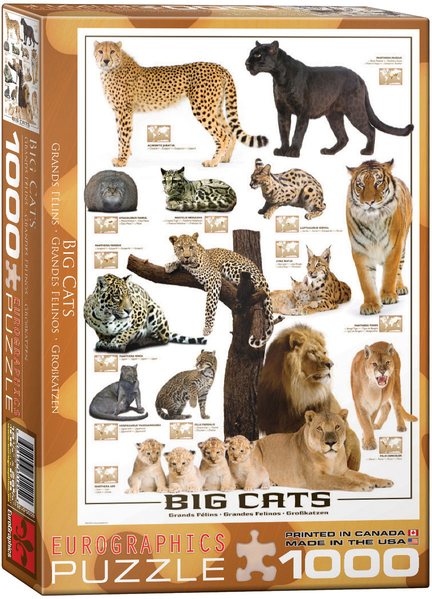 Пъзел Eurographics от 1000 части – Големите котки