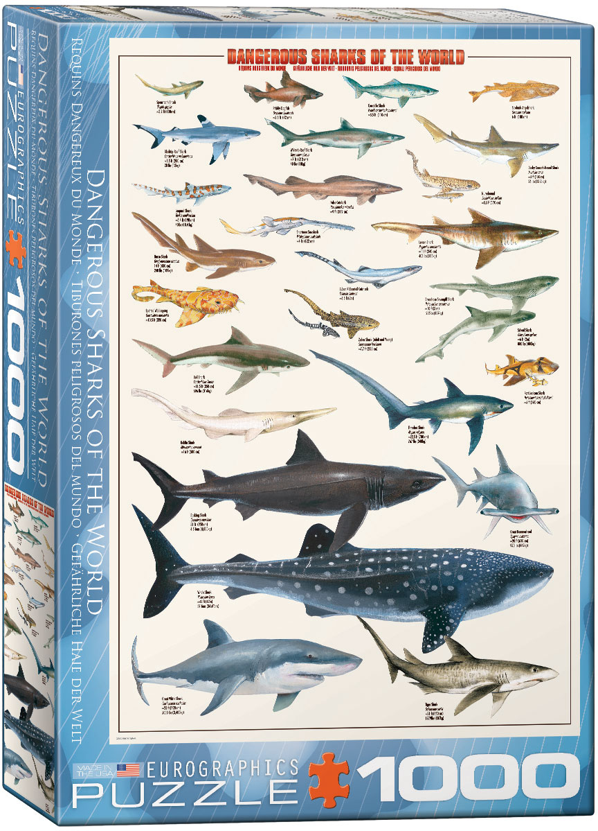 Пъзел Eurographics от 1000 части – Опасни акули