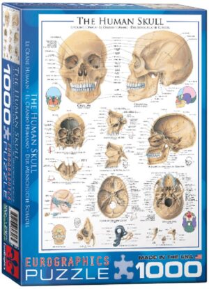 Пъзел Eurographics от 1000 части – Човешки череп