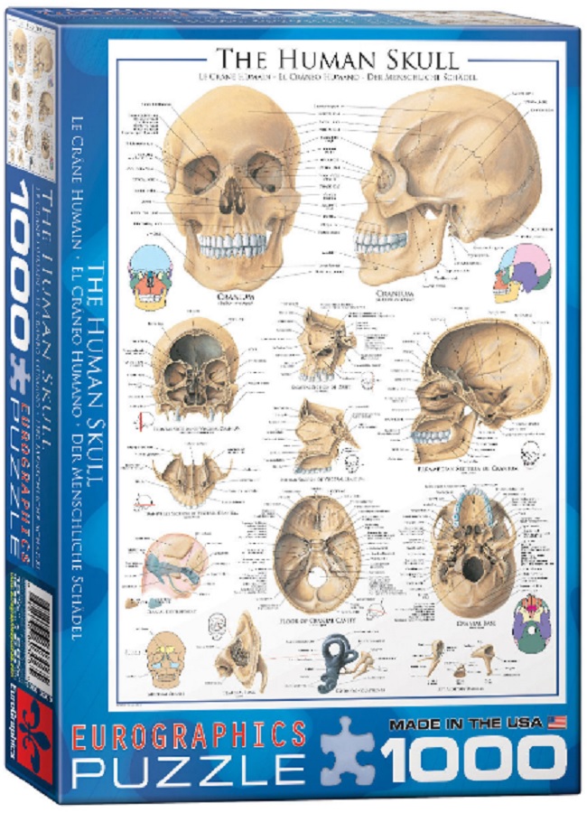 Пъзел Eurographics от 1000 части – Човешки череп