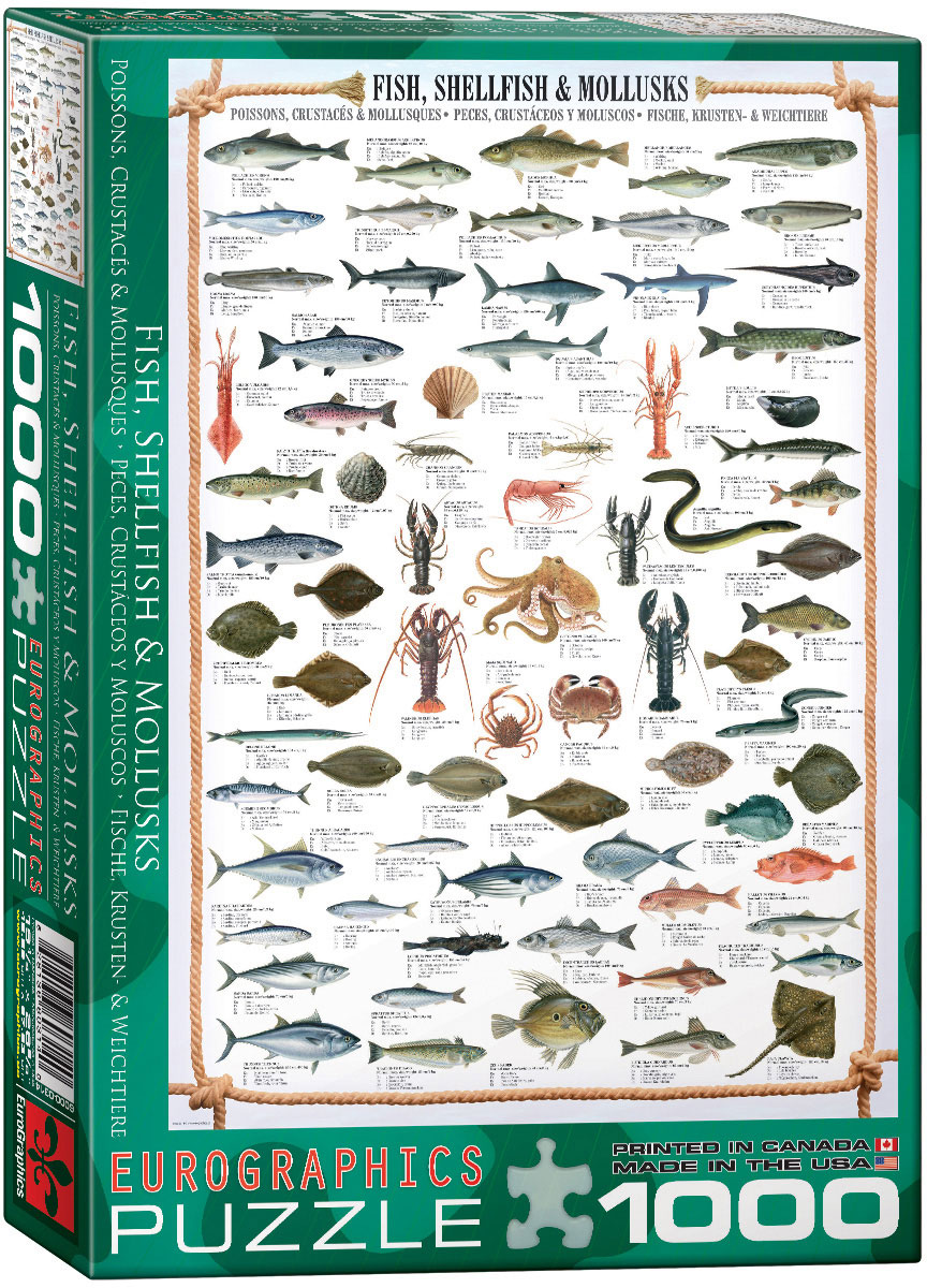 Пъзел Eurographics от 1000 части – Риба, миди и мекотели