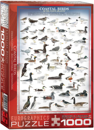 Пъзел Eurographics от 1000 части – Птици по крайбрежието