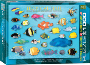 Пъзел Eurographics от 1000 части – Тропически риби