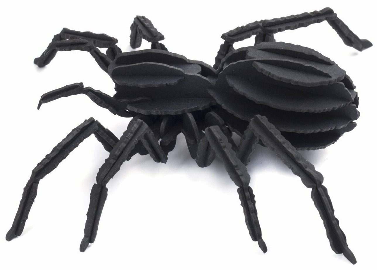 3D Пъзел Kikkerland - Насекомо, асортимент