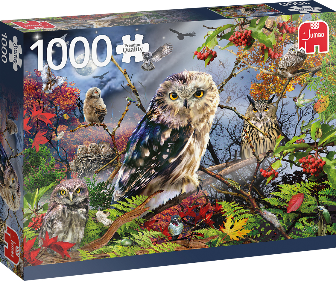 Пъзел Jumbo от 1000 части - Бухали на лунната светлина