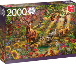 Пъзел Jumbo от 2000 части - Магическа гора на залез