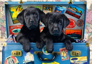 Пъзел Bluebird от 1000 части - Пътуващи лабрадори, Грег Кудифорд