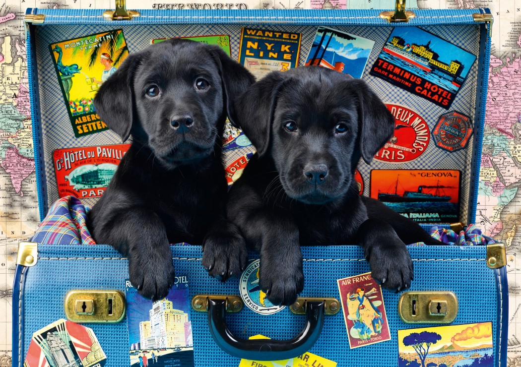 Пъзел Bluebird от 1000 части - Пътуващи лабрадори, Грег Кудифорд