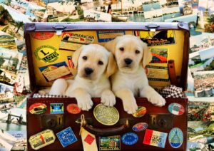 Пъзел Bluebird от 100 части - Две пътуващи кученца, Грег Кудифорд