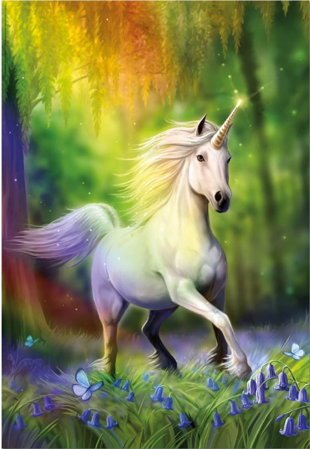 Пъзел Educa от 500 части - Преследване на дъгата