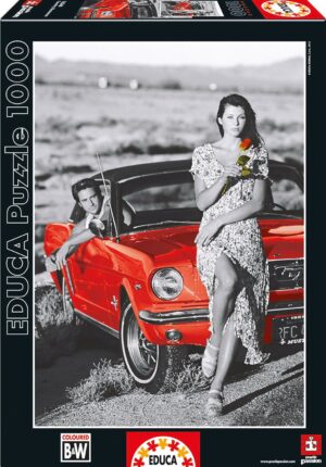 Пъзел Educa от 1000 части - Романтика в полята