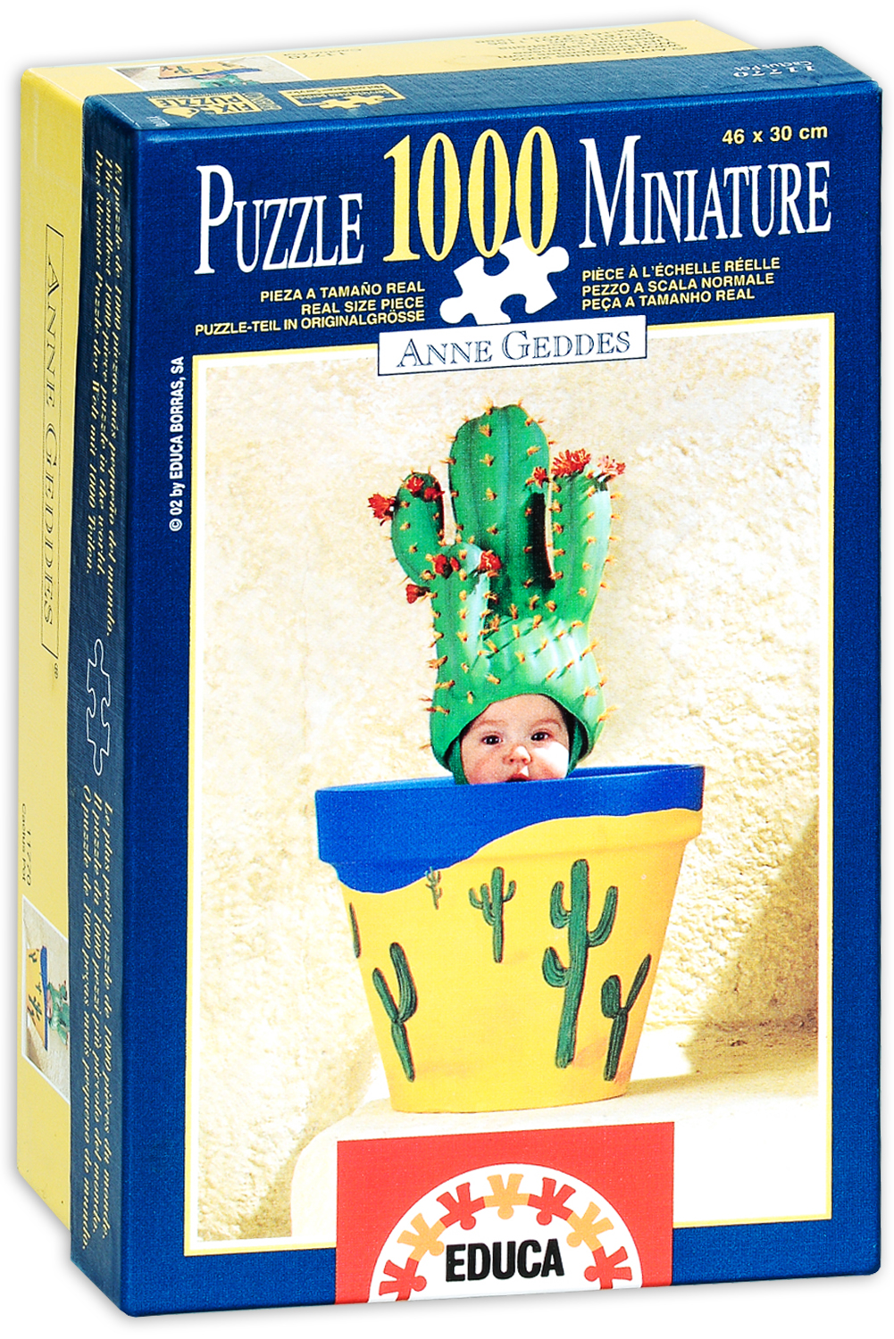 Пъзел Educa от 1000 мини части - Кактус, Ан Гедес