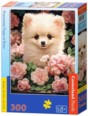 Пъзел Castorland от 300 части - Померанче сред рози