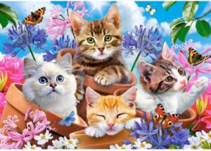 Пъзел Castorland от 500 части - Сладки котета