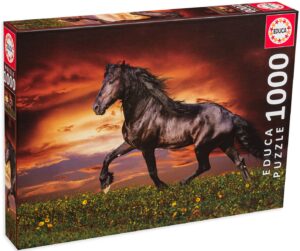 Пъзел Educa от 1000 части - Кон в тръс