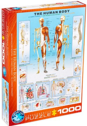 Пъзел Eurographics от 1000 части – Човешкото тяло