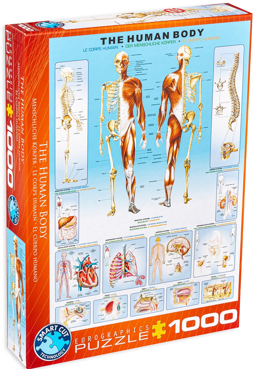 Пъзел Eurographics от 1000 части – Човешкото тяло