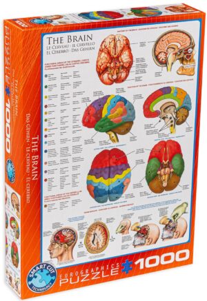 Пъзел Eurographics от 1000 части – Човешкото тяло, Мозък