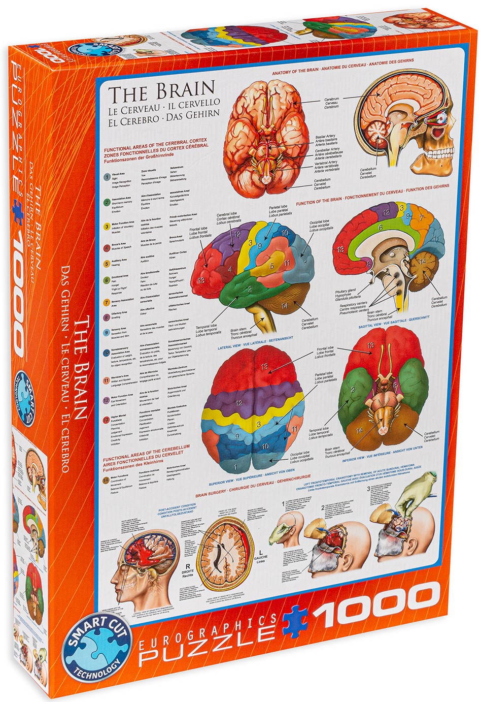 Пъзел Eurographics от 1000 части – Човешкото тяло, Мозък