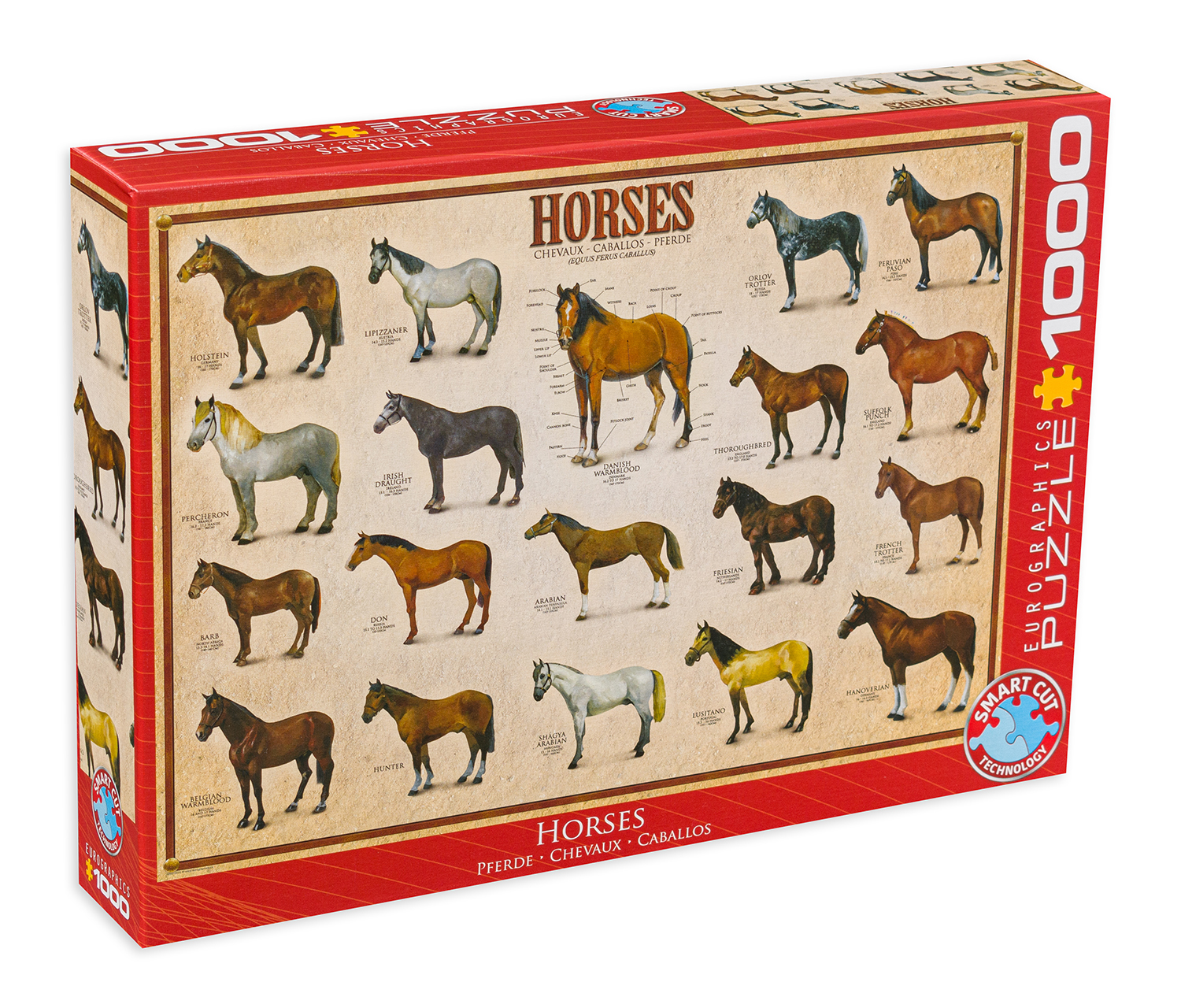 Пъзел Eurographics от 1000 части – Коне
