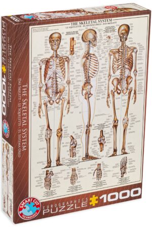 Пъзел Eurographics от 1000 части - Костна система