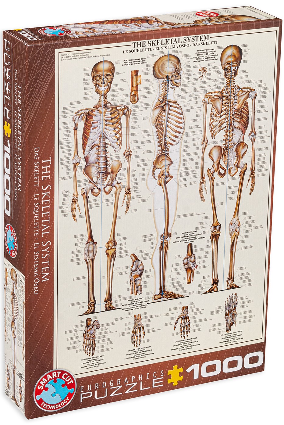 Пъзел Eurographics от 1000 части - Костна система