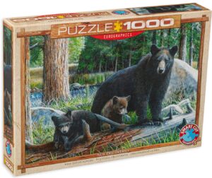 Пъзел Eurographics от 1000 части - Нови открития, Кевин Даниел