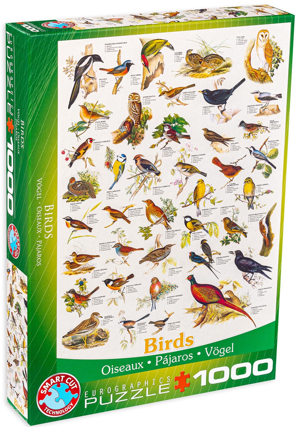 Пъзел Eurographics от 1000 части – Птици в полята и градините