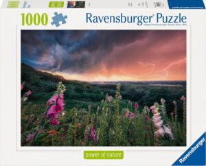 Пъзел Ravensburger от 1000 части - Идва буря