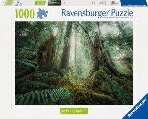 Пъзел Ravensburger от 1000 части - Очарователна гора